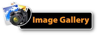 image gallery button