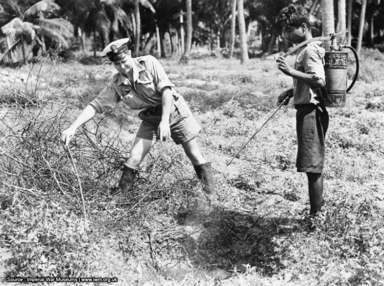 Introduction of DDT